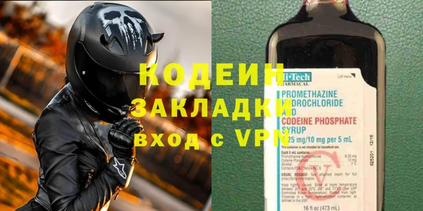 хмурый Алзамай