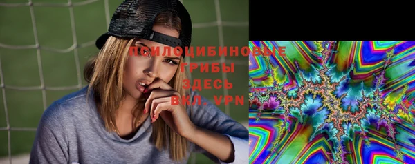 сатива Алексеевка
