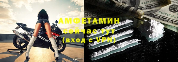 хмурый Алзамай